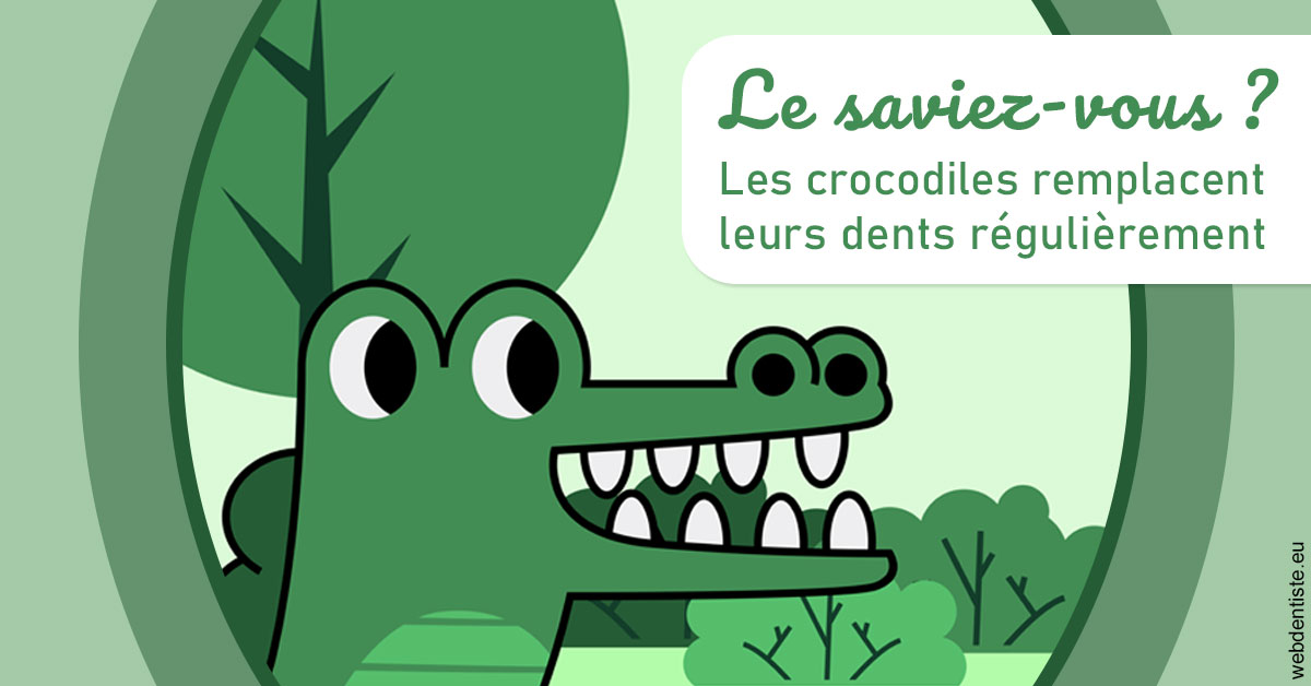 https://dr-ari-djebali.chirurgiens-dentistes.fr/Crocodiles 2